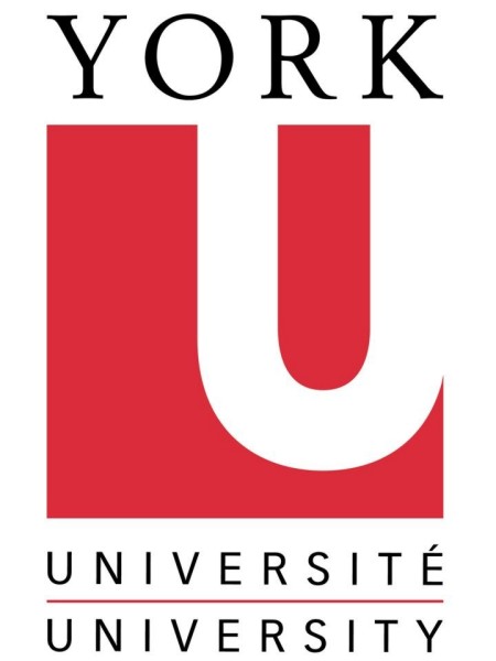 York University