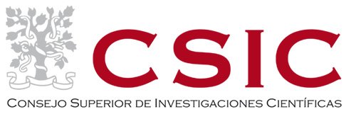 csic logo